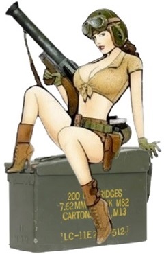 ACP Air Cannon Uses
